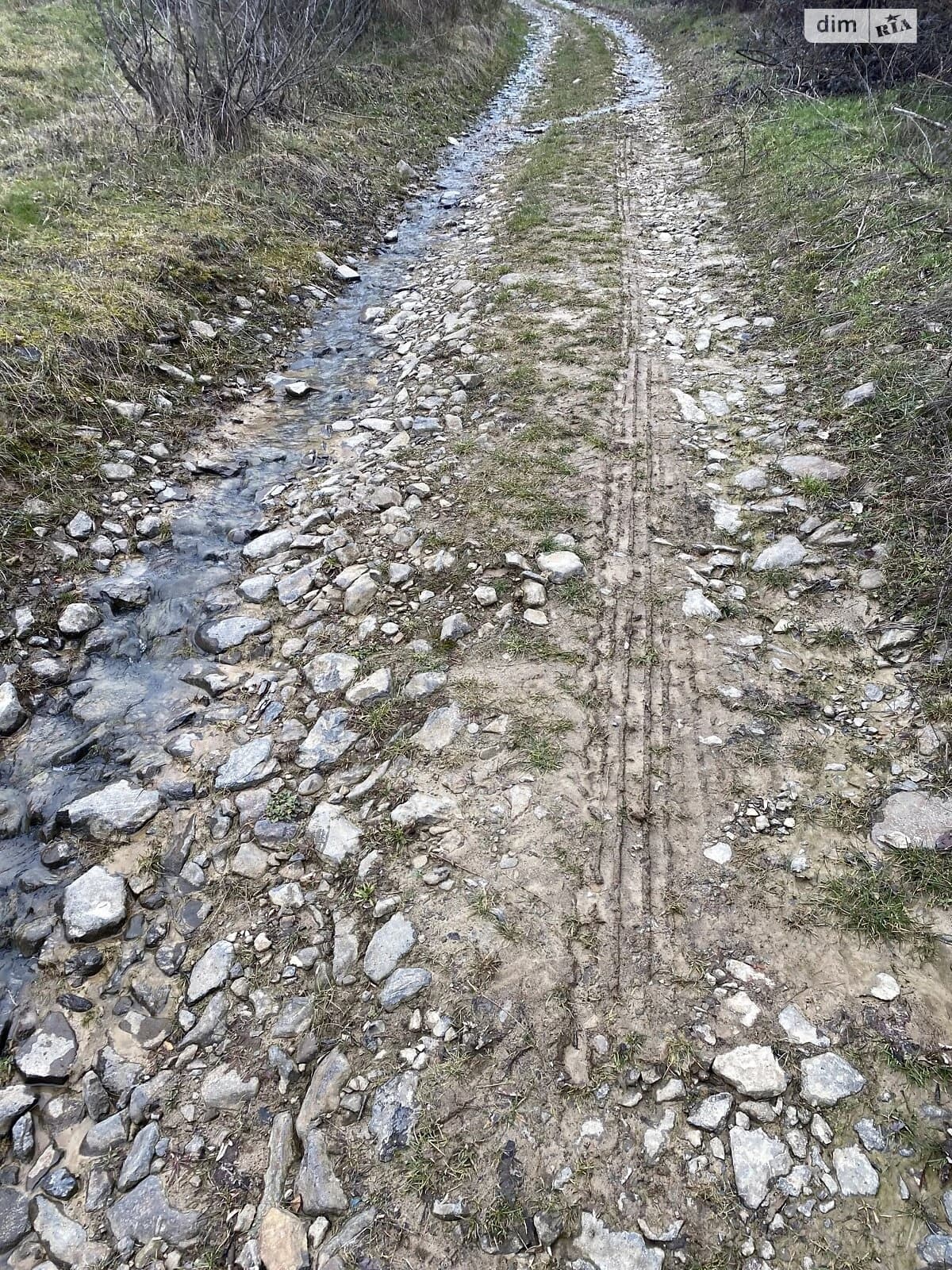 Ділянка 5.5 сотки, Невицьке: індивідуальне садівництво - фото 4