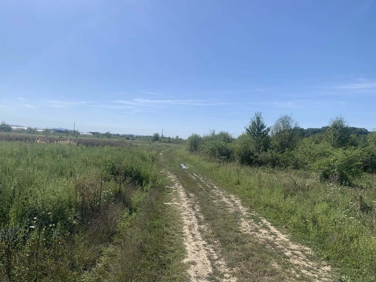 Ділянка 0.08 соток, Виноградів: житлова й суспільна забудова - фото 4
