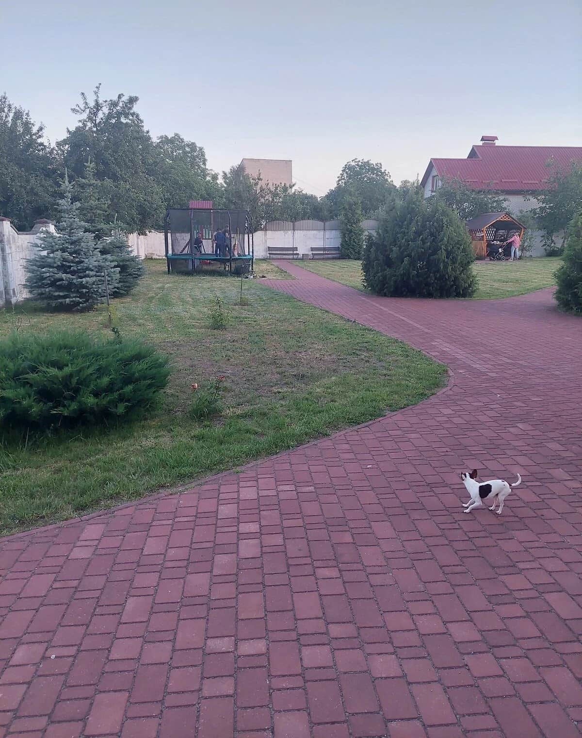 2-кімнатна квартира, Звягель: кухня-студія, єВідновлення - фото 2