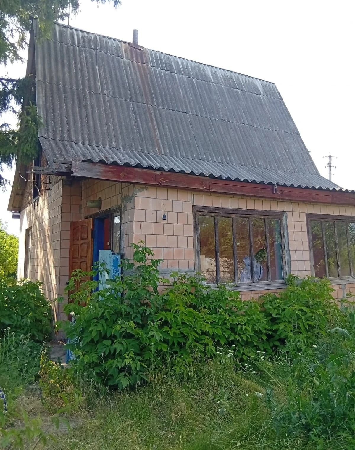 Будинок, Нова Гребля (Жашків): ділянка 46 м², потребує ремонту - фото 2