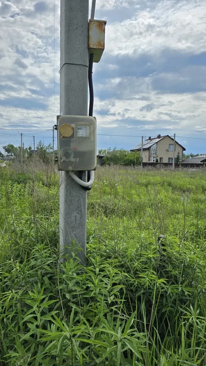 Ділянка 10 соток, Бориспіль: світло, плодові дерева - фото 3
