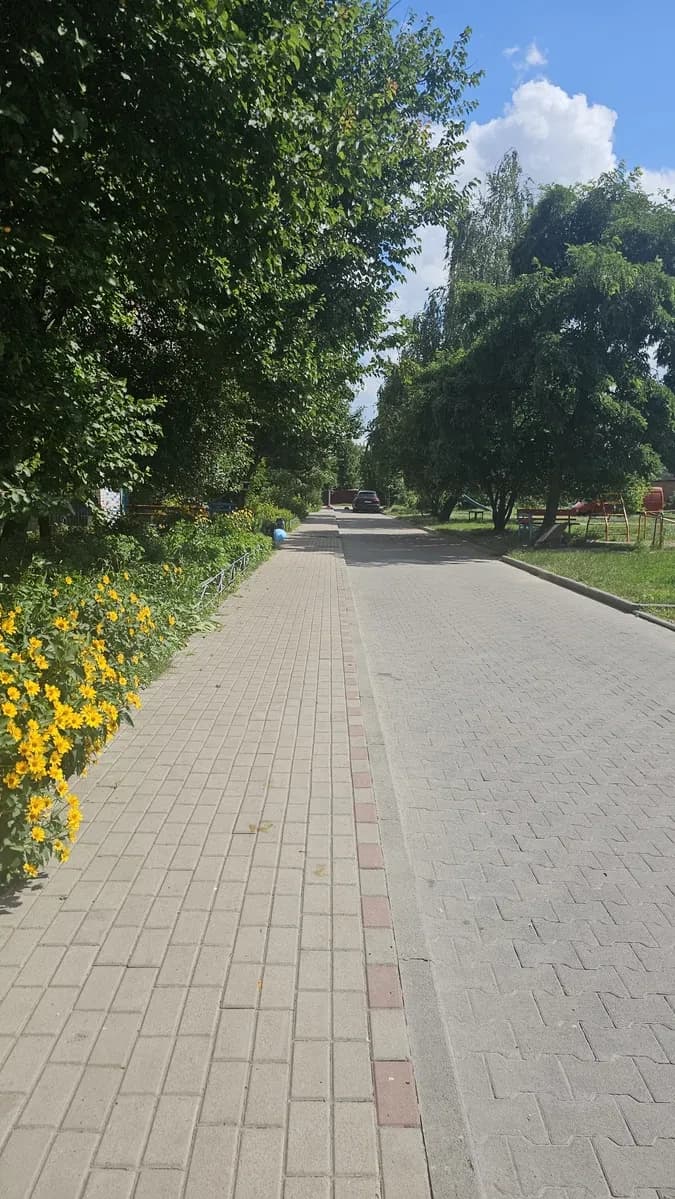 1-кімнатна квартира, Суми: резервне живлення, можна з котом - фото 2