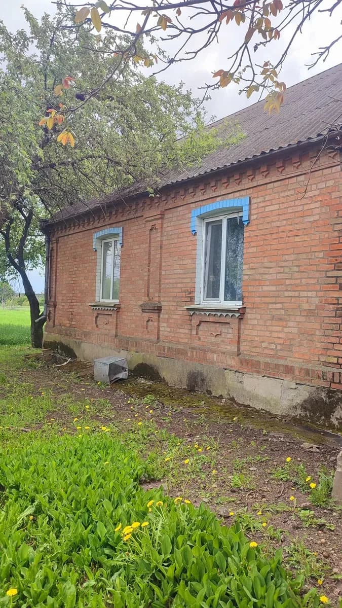 Будинок, Райки: 25 соток, великий гараж, газове й пічне опалення - фото 4