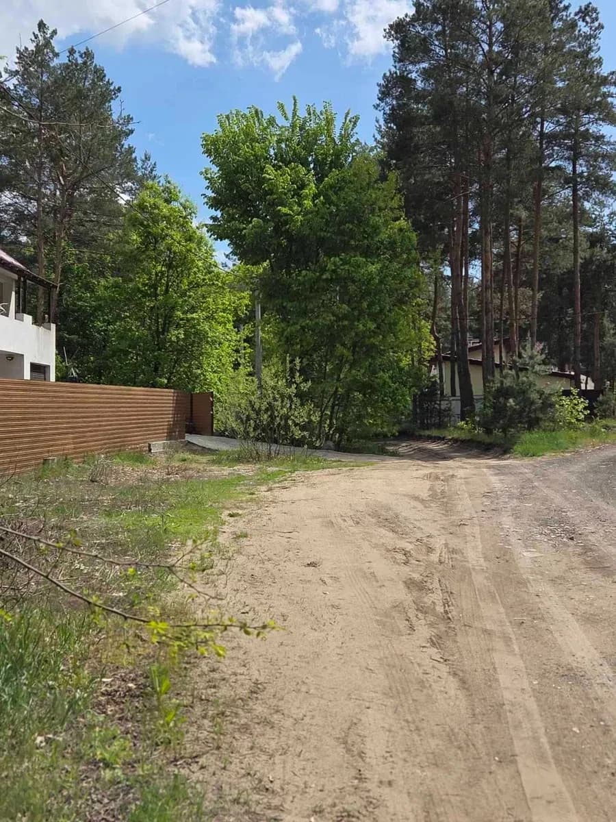 Ділянка 25 соток, Вишеньки: сосновий ліс, газ і електрика - фото 3