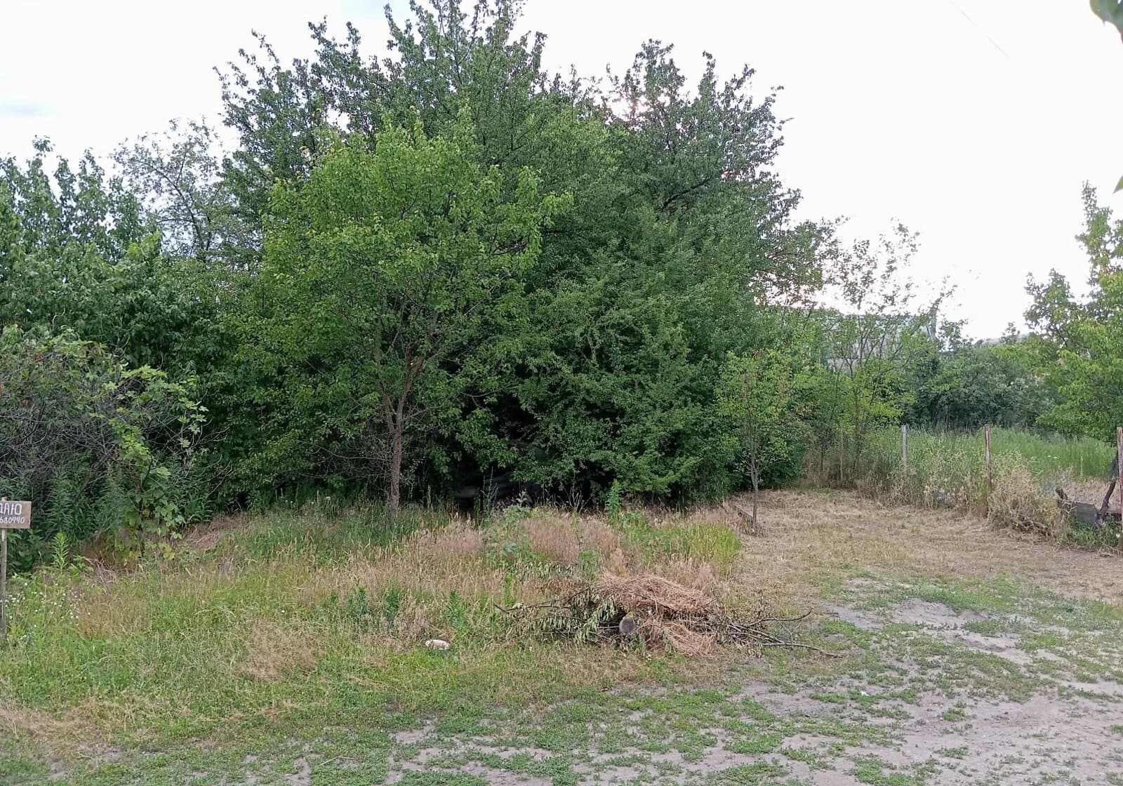Ділянка 4.98 соток, Вороніна: сад, фундамент, електрика - фото 3
