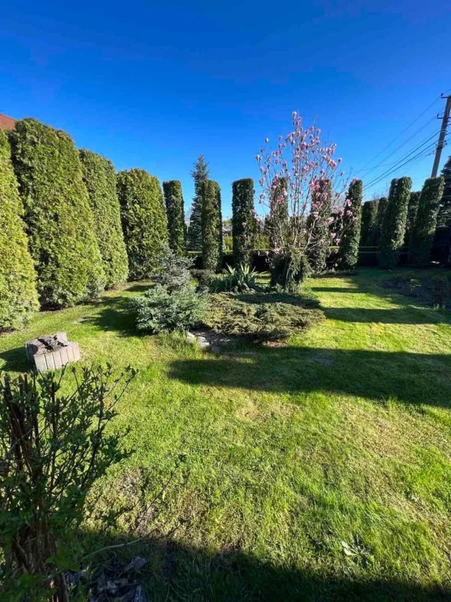 Садовий центр, Березівка: теплиця 500 м², склад 300 м² - фото 2