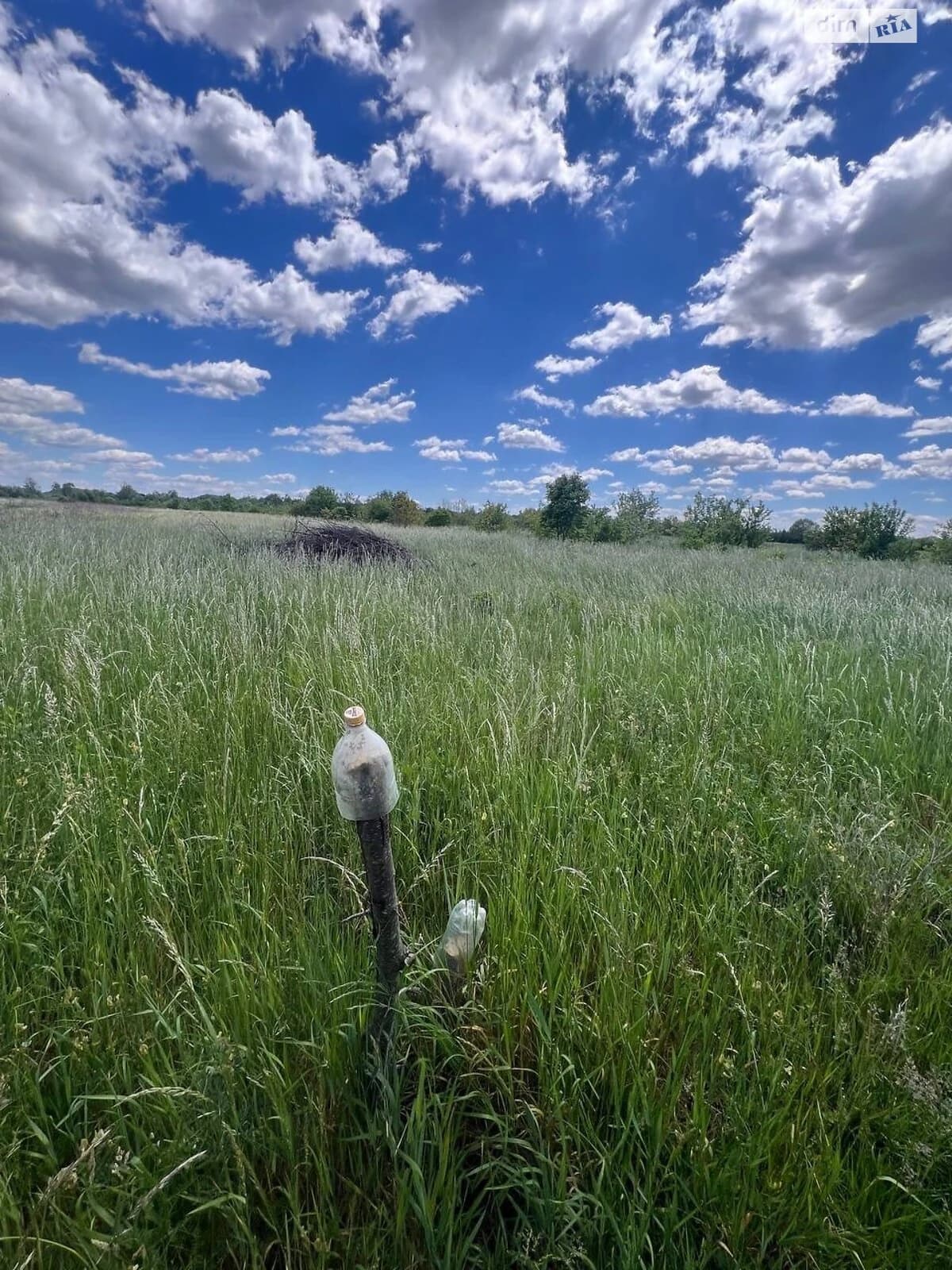 Ділянка 12,5 соток, Крихівці: житлова забудова, криниця - фото 3