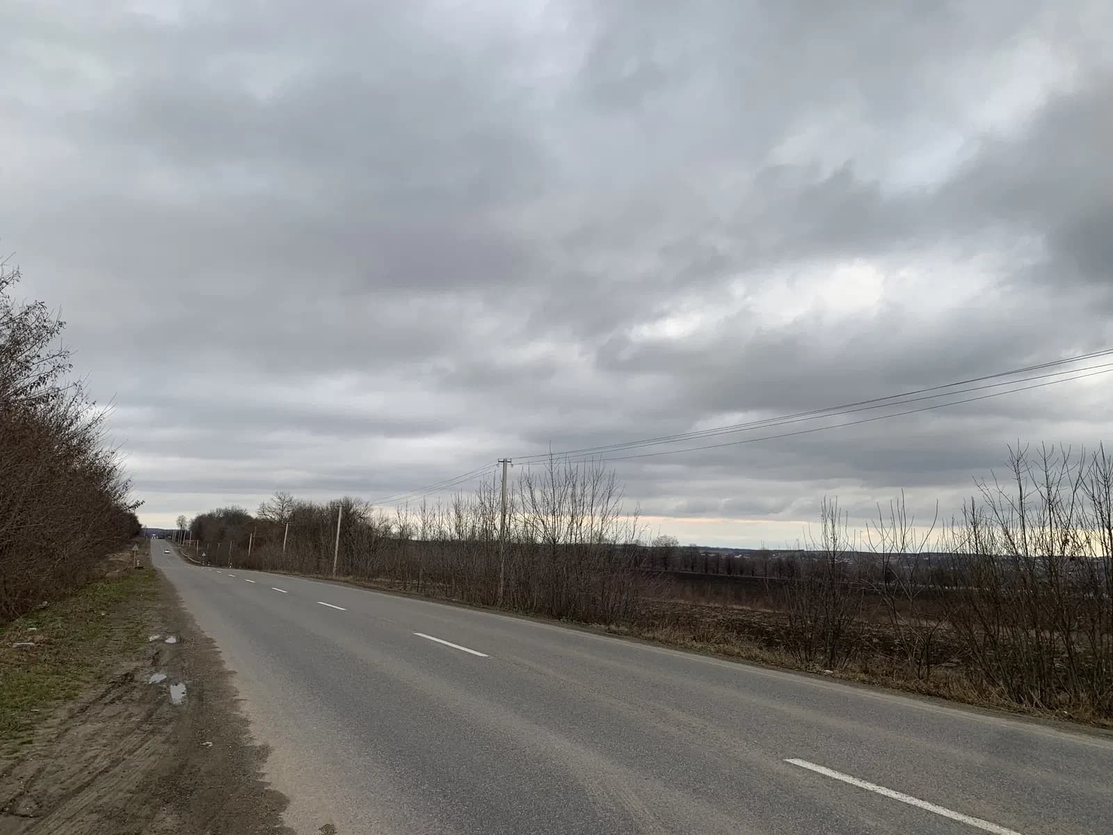 Ділянка 137 соток, Чернівці: перша лінія, траса на Румунію - фото 1