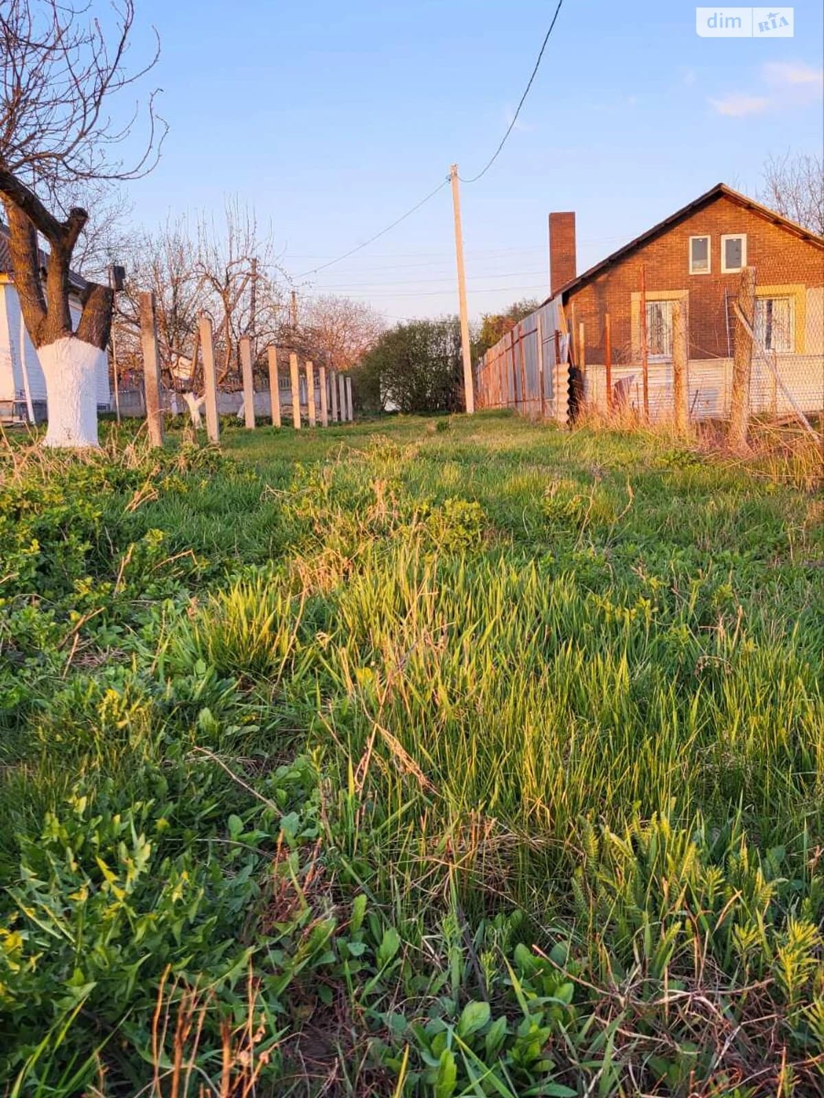 Ділянка 10 соток, Рибці: під житлову забудову, чорнозем, під гараж - фото 3
