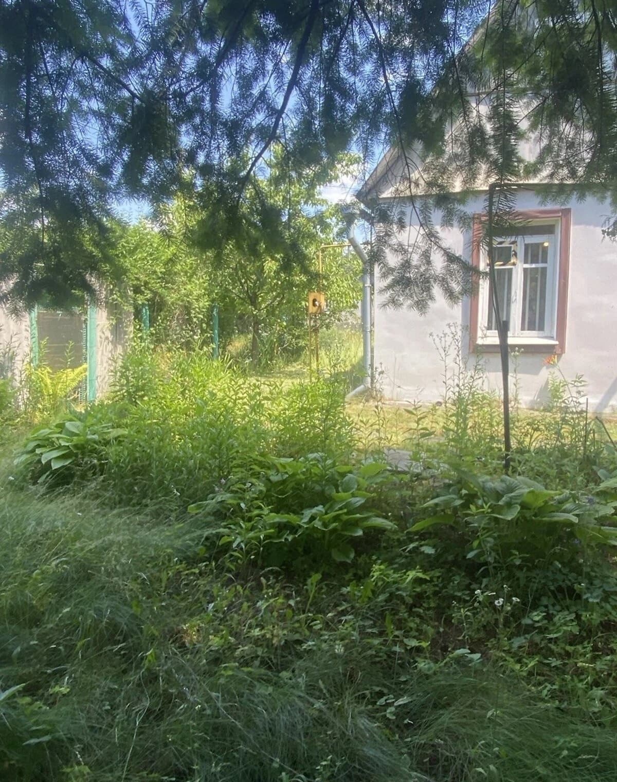 Дача, Глеваха: ділянка 6.13 сотки, бесідка, свердловина - фото 2