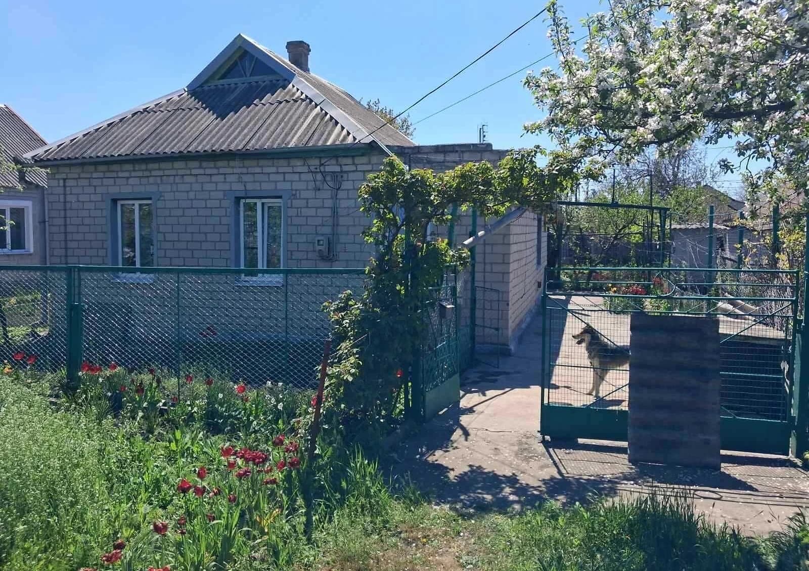 Будинок, П'ятихатки: гараж, баня, літня кухня - фото 1