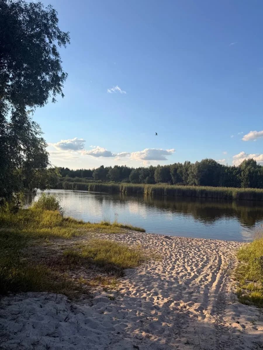 Ділянка 12 соток, Гнідин: електрика, пляж поруч, закрита територія - фото 4