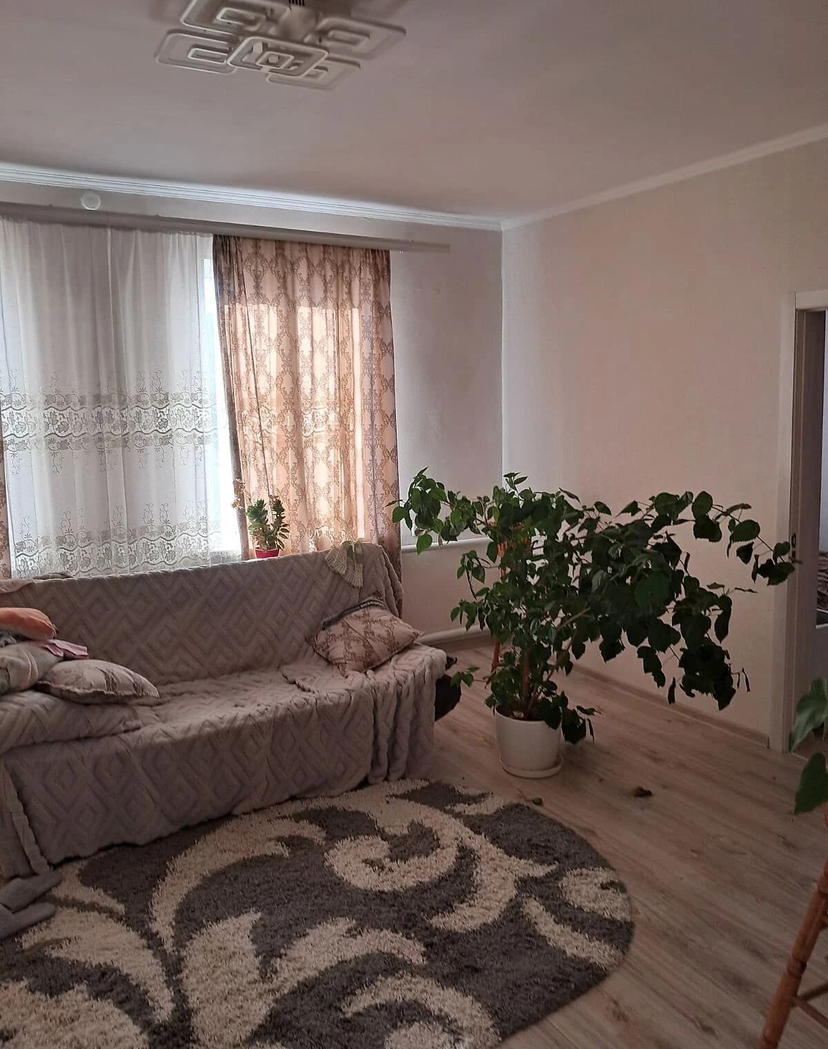 Будинок, Максимівка (Богодухів): 18 соток, цегляні стіни - фото 1