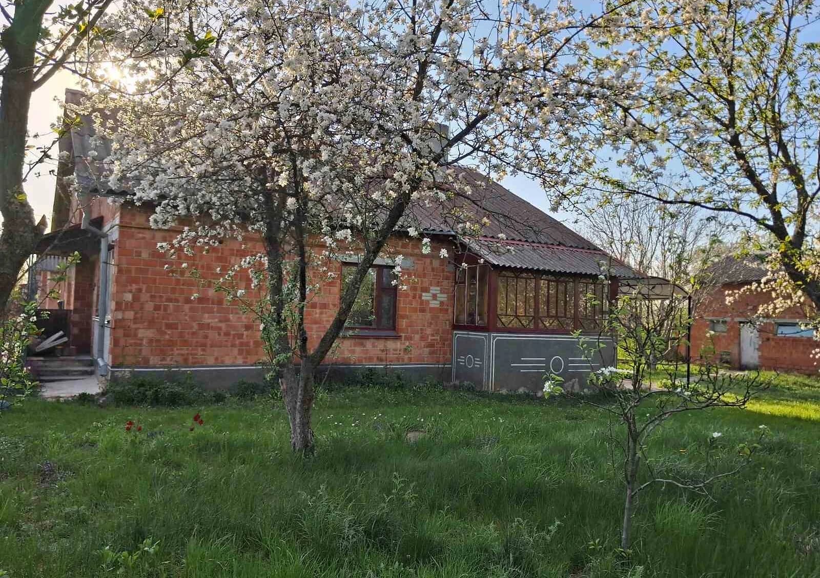 Будинок, Лазарівка: 60 соток, веранда, бесідка - фото 3