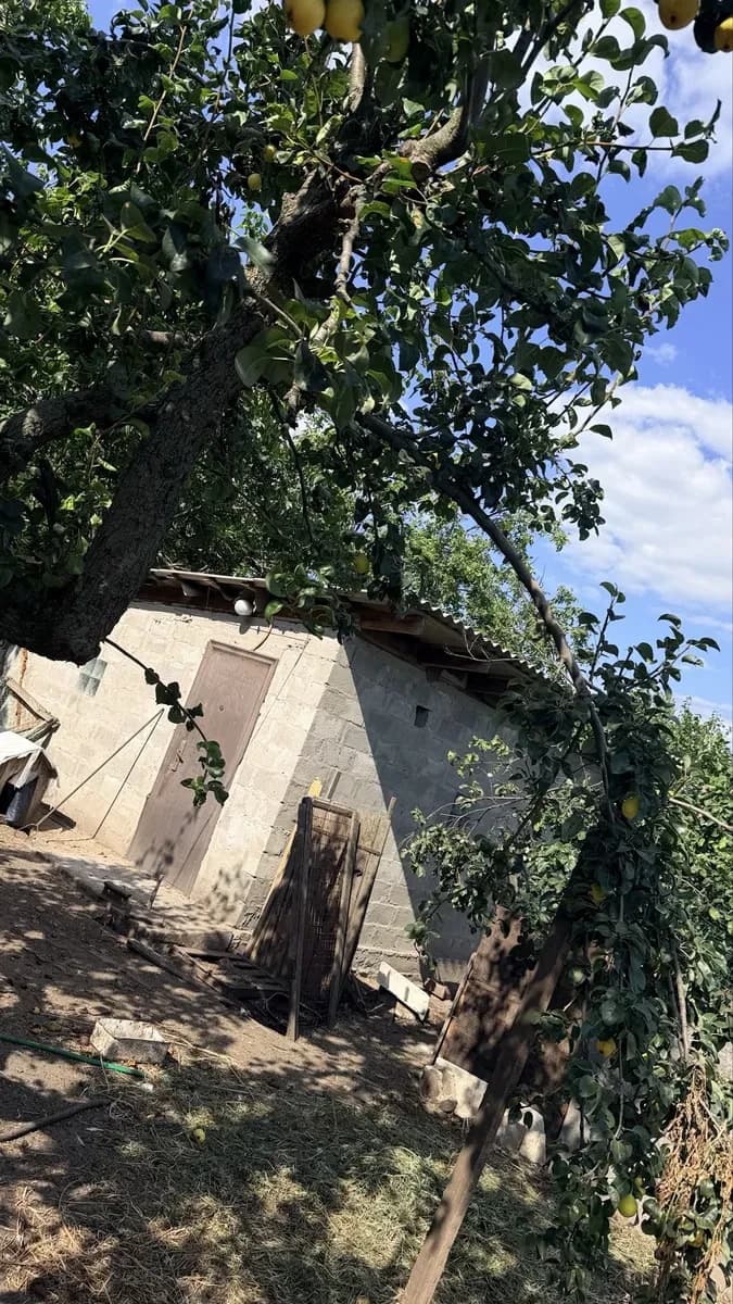 Будинок, Новоселівка: гараж, дві теплиці, річка за 100 м - фото 3