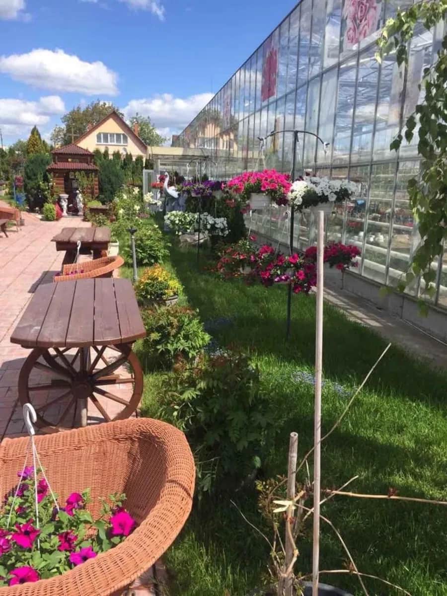 Садовий центр, Березівка: теплиця 500 м², склад 300 м² - фото 1