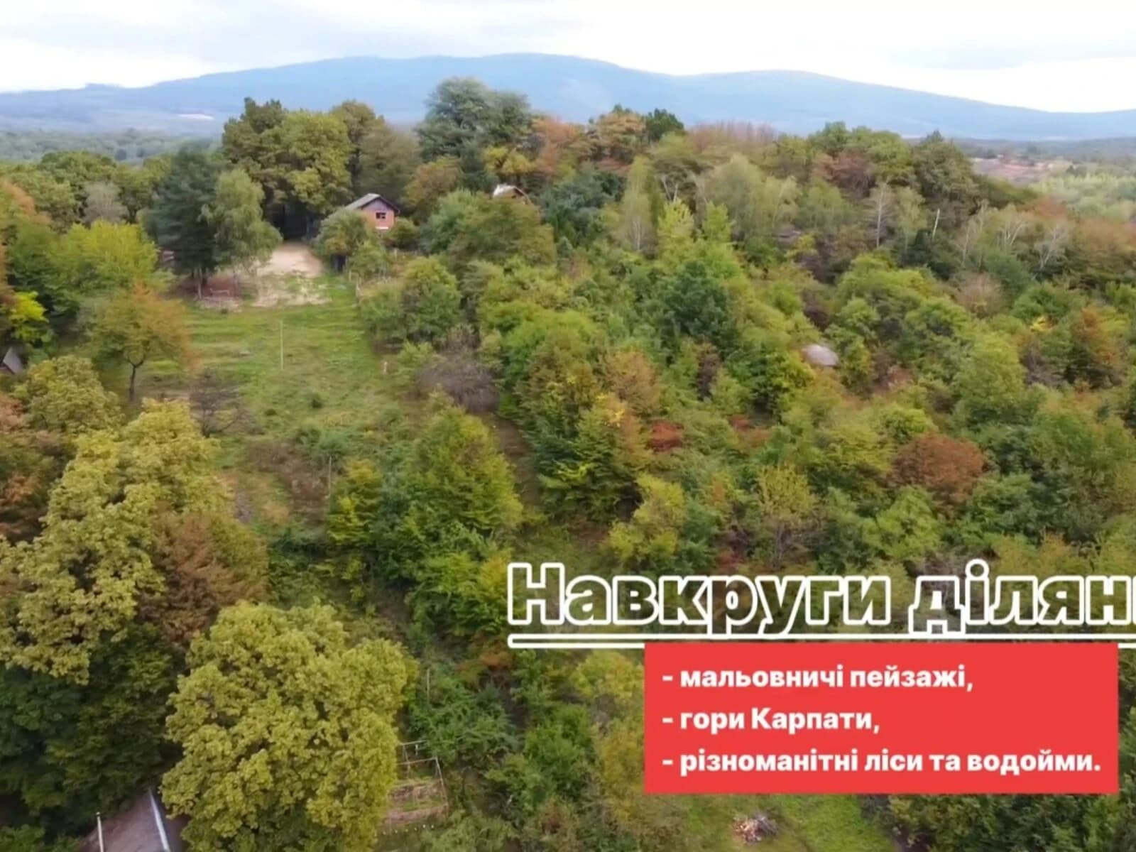 Ділянка 8.6 соток, Оріховиця: сад, виноградник, паркан - фото 4