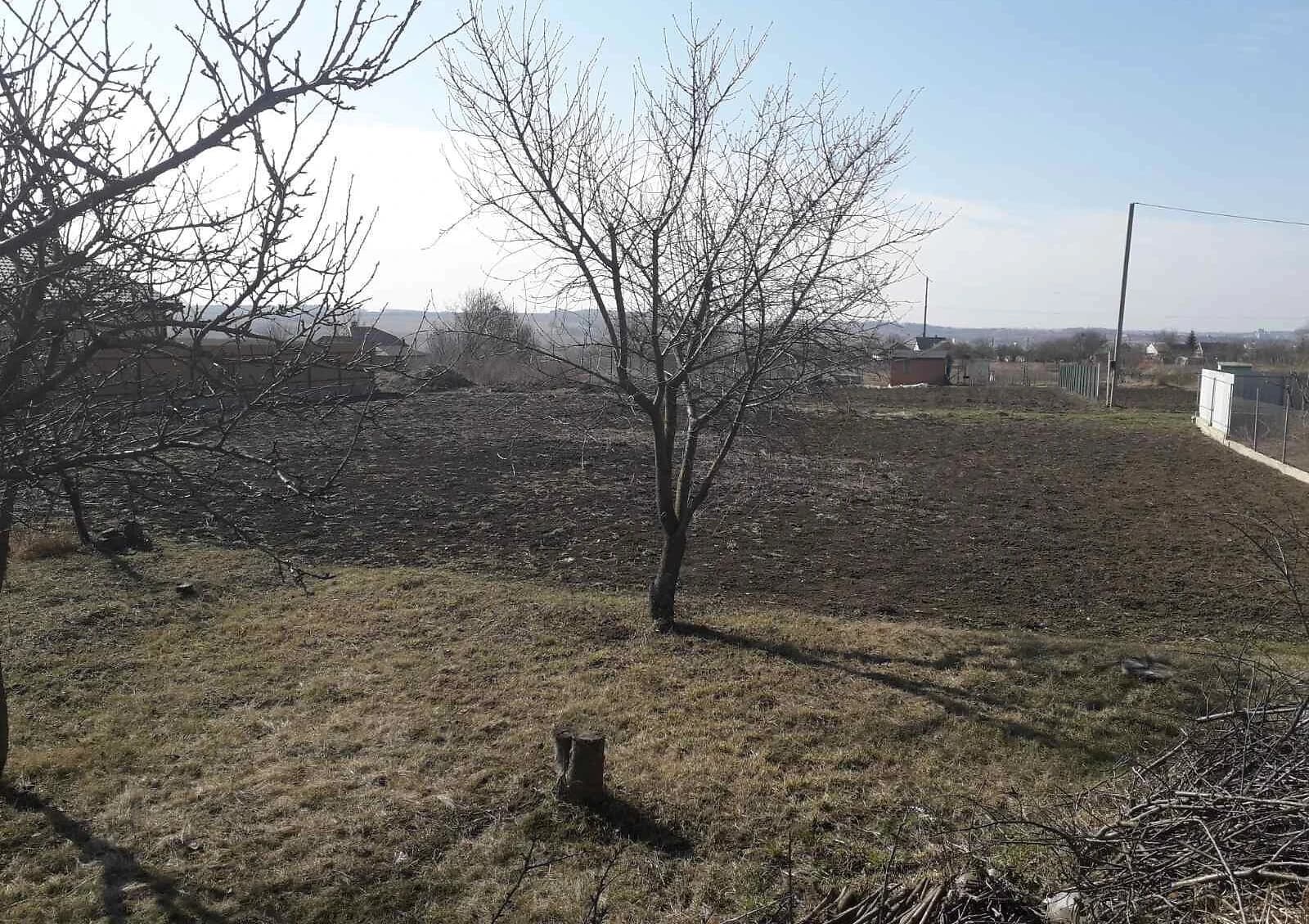 Ділянка 9 соток, Книжківці: електрика та газ, сад і город - фото 2
