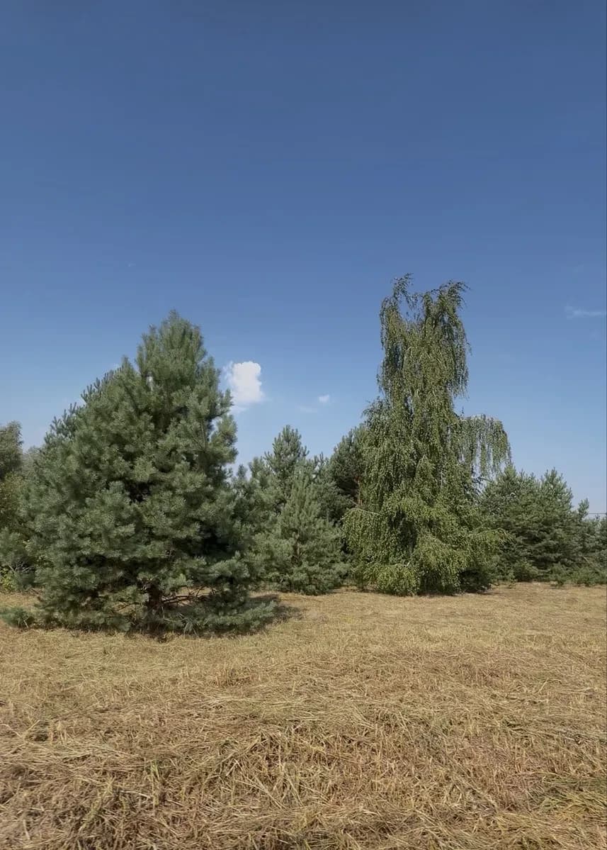 Ділянка 5 соток, Любимівка: електрика та газ, біля озера - фото 3