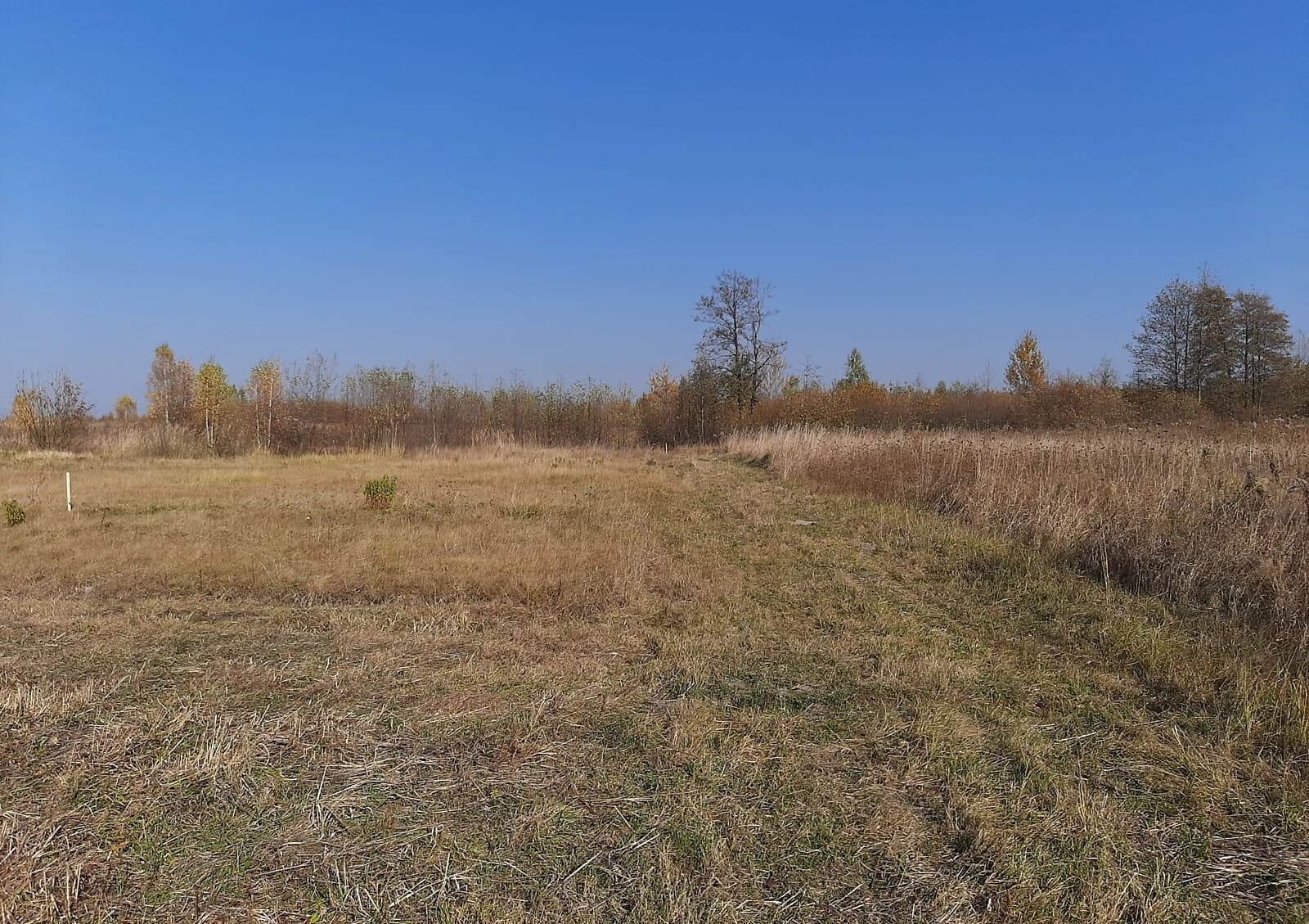 Ділянка 10 соток, Березівка (Житомир): під житлову забудову, під гараж - фото 1