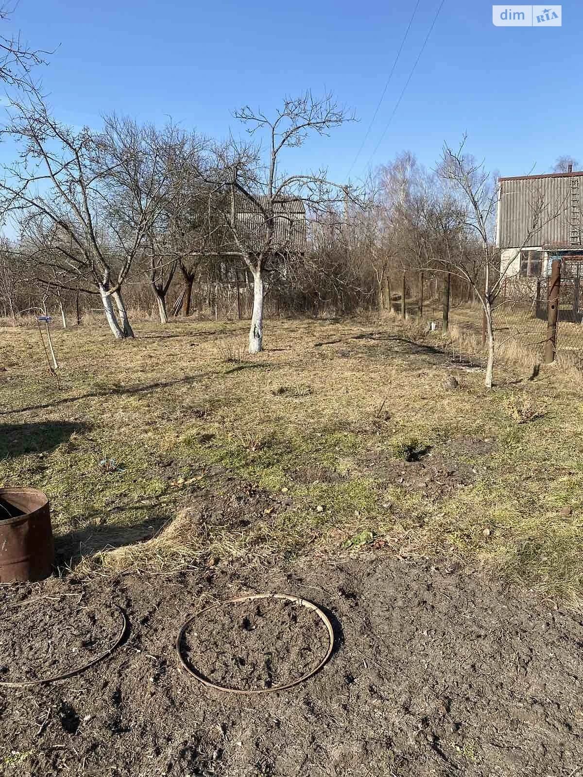 Ділянка 10 соток, Веснянка: свердловина, сад, виноградник - фото 2