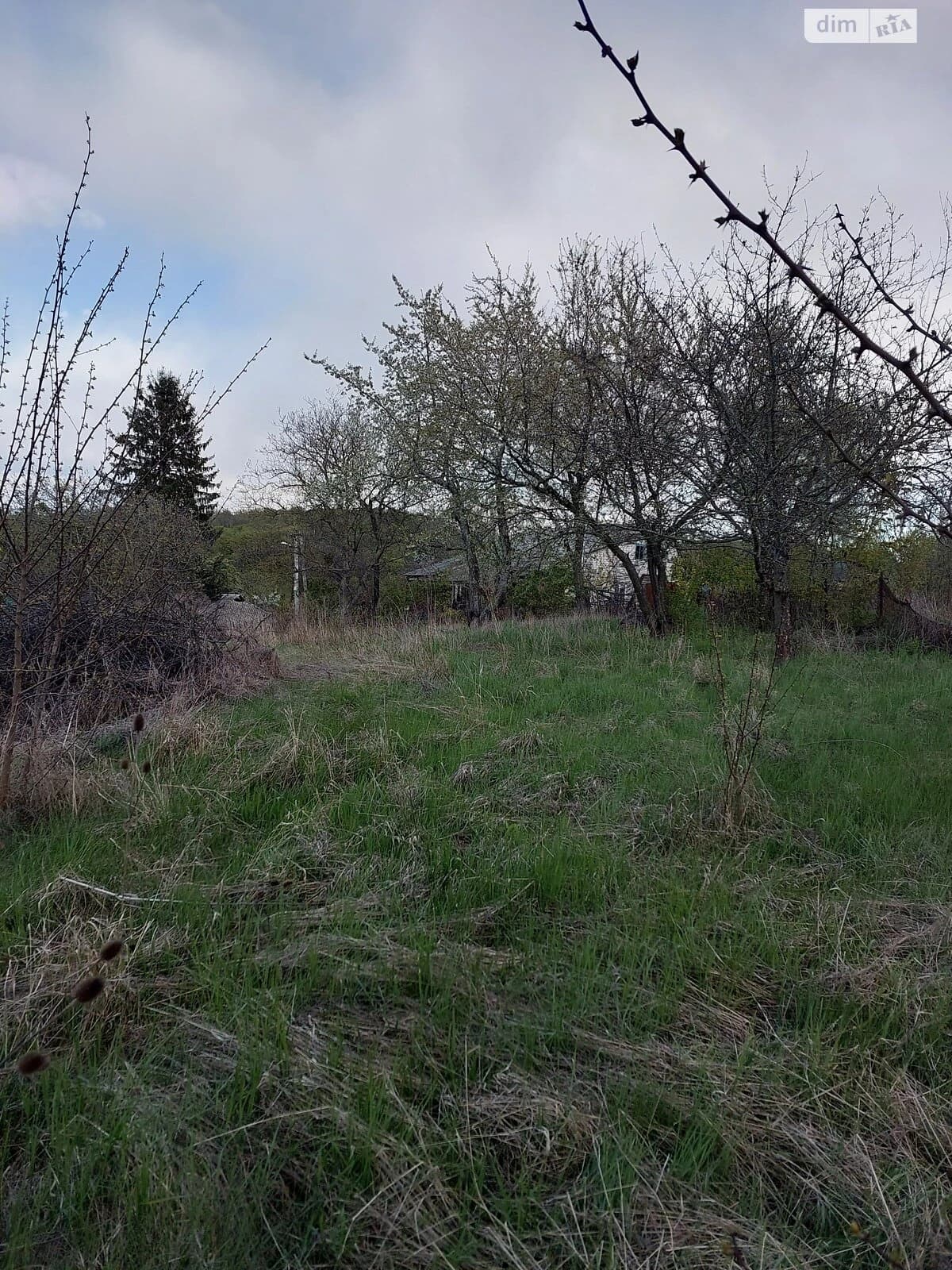 Ділянка 913 м², Канів: під житлову забудову, чорнозем - фото 2