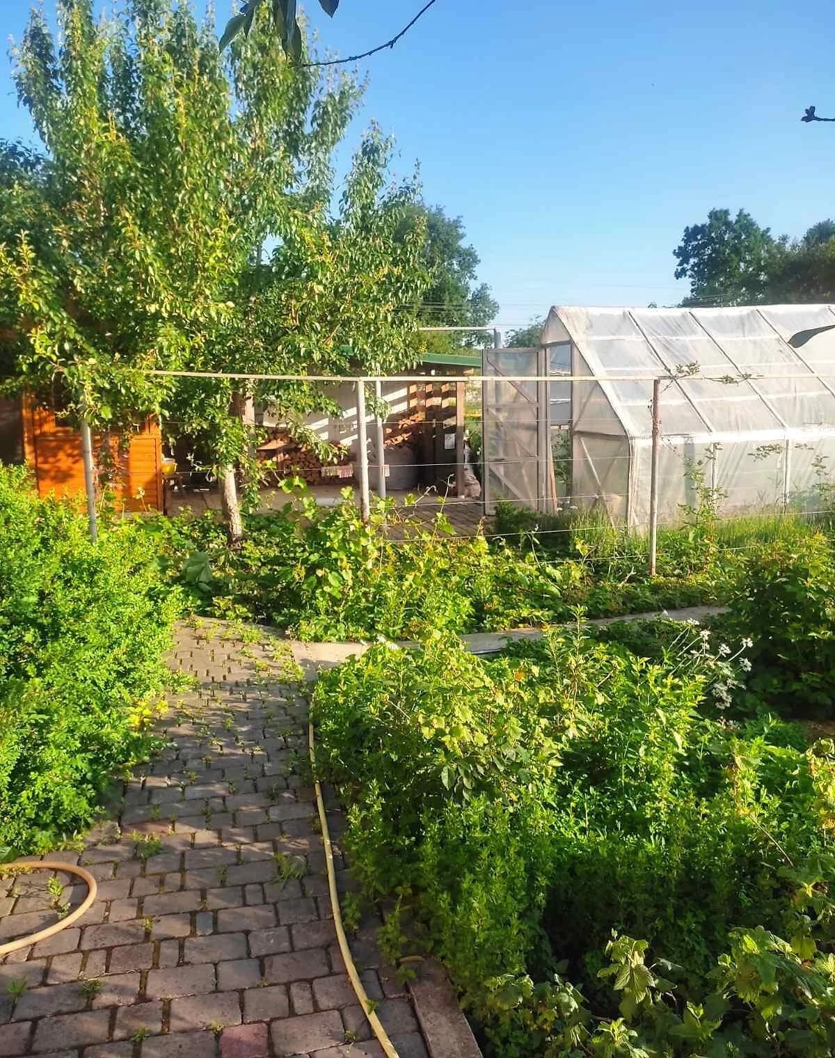 Будинок, Ковпаковський: гараж, бесідка, 10 соток - фото 3