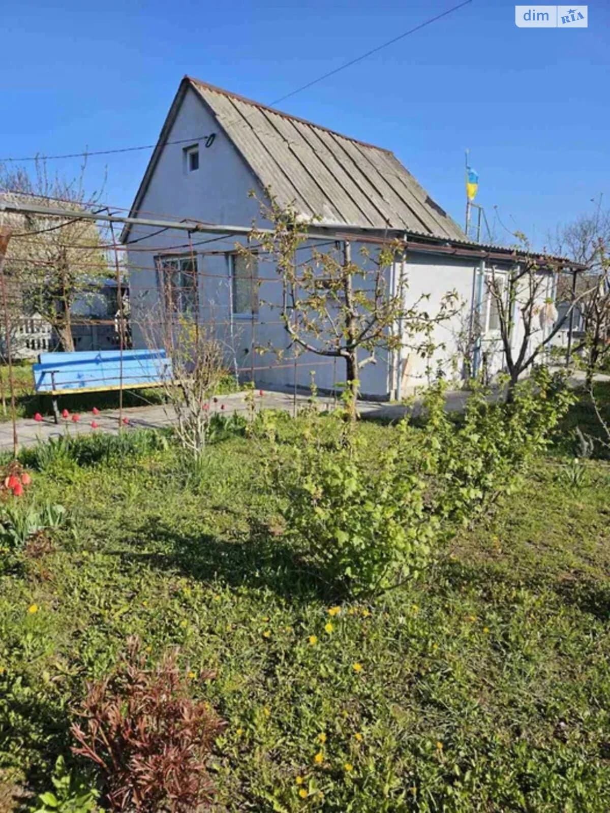 Дача, Власівка: басейн, бесідка, 6 соток - фото 1