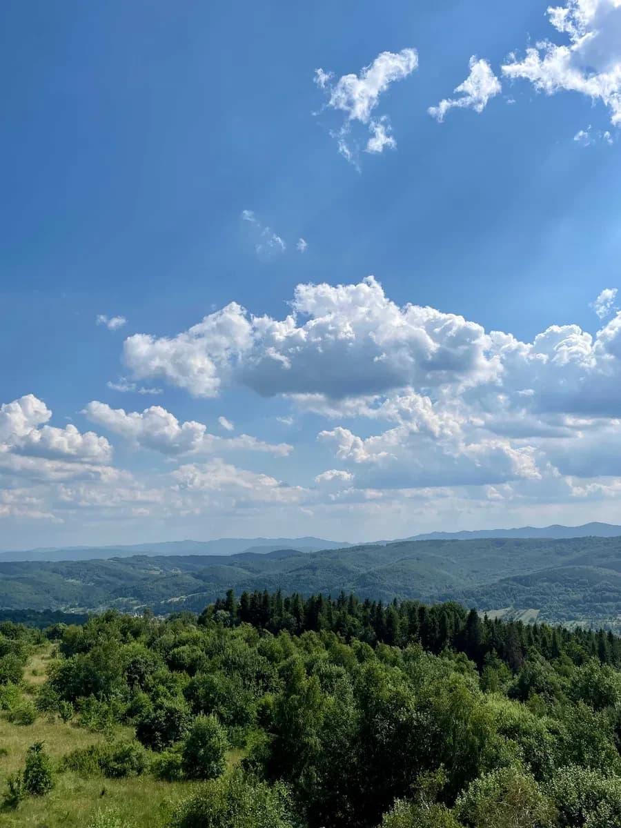 Ділянка 100 соток, Орів: панорама, електрика та вода, торг - фото 1