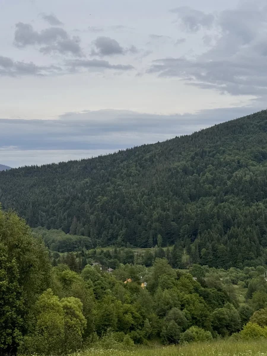 Ділянка 25 соток, Микуличин: під забудову, 600 м до дороги на Буковель - фото 3