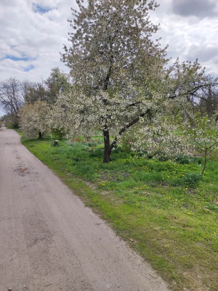 Ділянка 66 соток, Подільський: житлова й суспільна забудова - фото 2