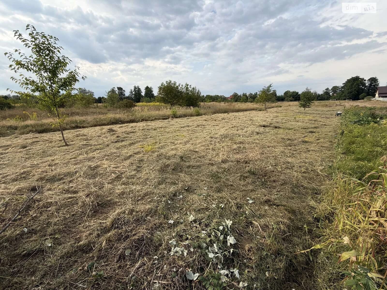 Ділянка 7.06 соток, Опришівці: житлова забудова, чорнозем, під гараж - фото 4