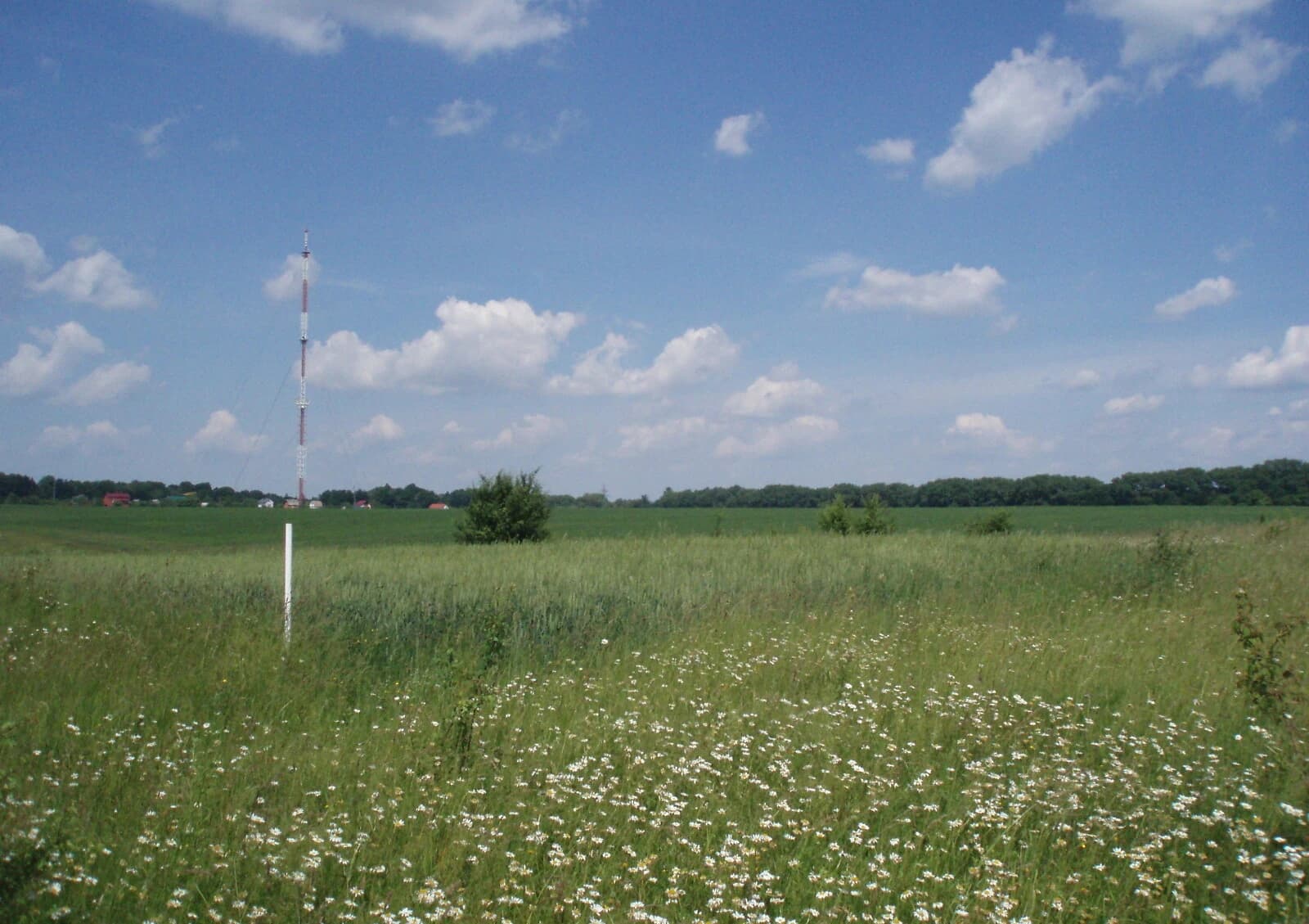 Ділянка 12 соток, Лозова: чорнозем, під гараж, 50 × 24 м - фото 1