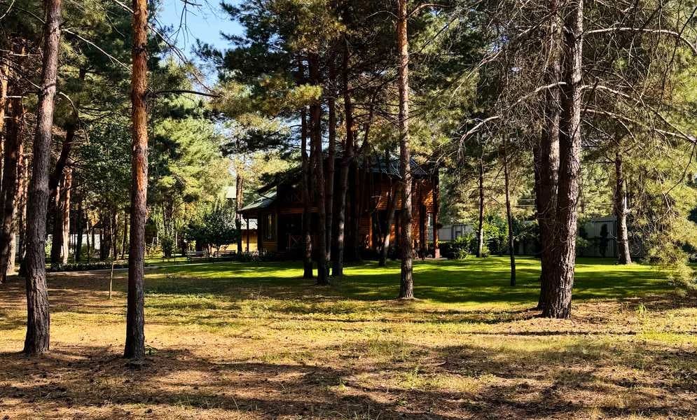 Будинок, Димер: SPA-комплекс, генератор 120 кВт, 36 соток - фото 1