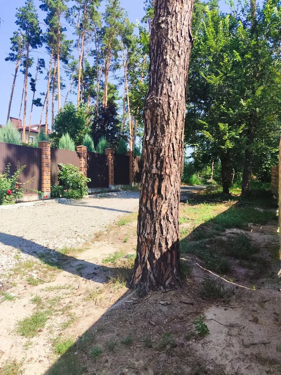 Ділянка 10 соток, Лісова Буча: газ 15 м, каналізація 50 м - фото 4