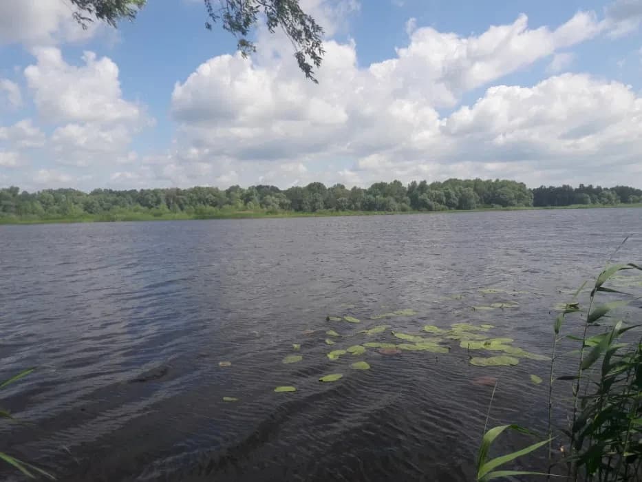 Ділянка 20 соток, Хрещатик: вихід до річки, природне озеро, затока - фото 1