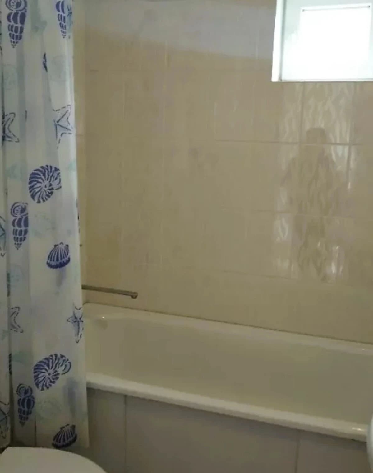 Частина будинку, Тальне: гараж, бойлер, вода без світла - фото 3