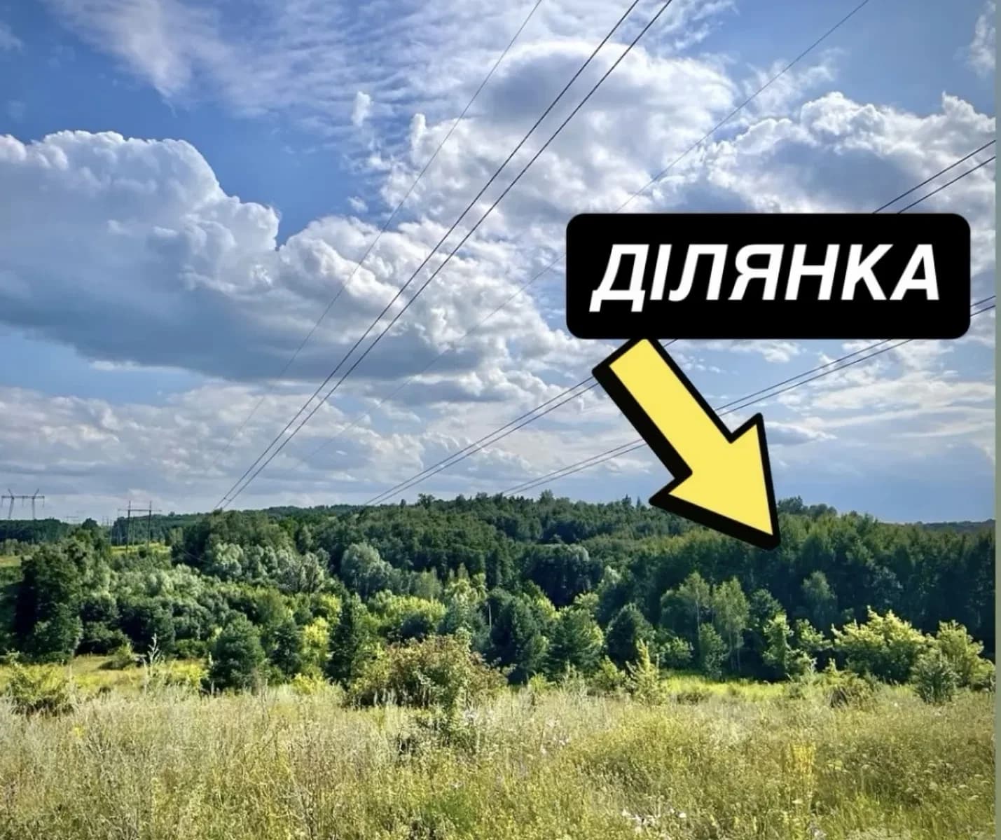 Ділянка 15 соток, Рославичі: світло на ділянці, газ по вулиці - фото 2