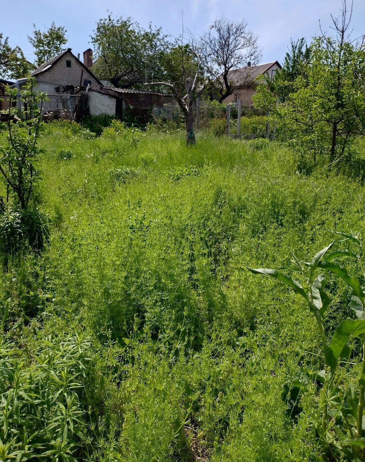 Будинок, Діївка-2: ділянка 8.69 сотки, погріб, пічне опалення - фото 3
