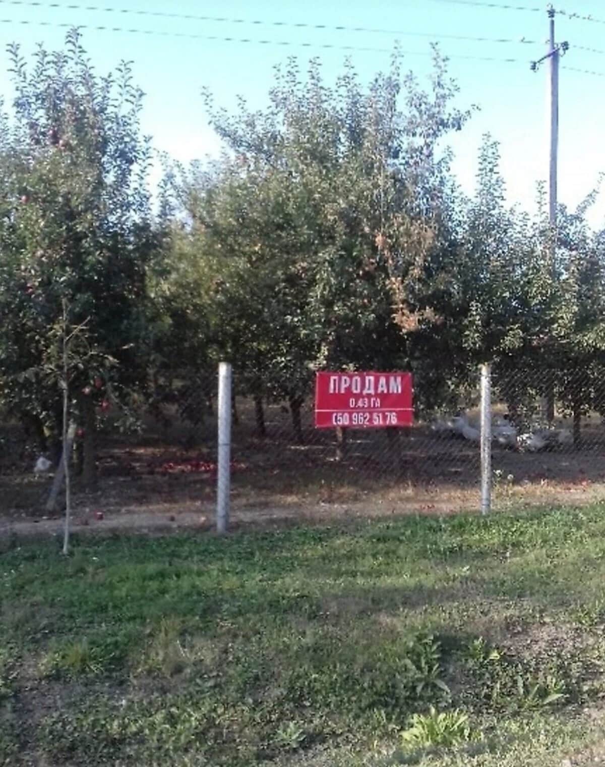 Ділянка 43 соток, Рідківці: під житлову забудову, вихід до водоймища - фото 2