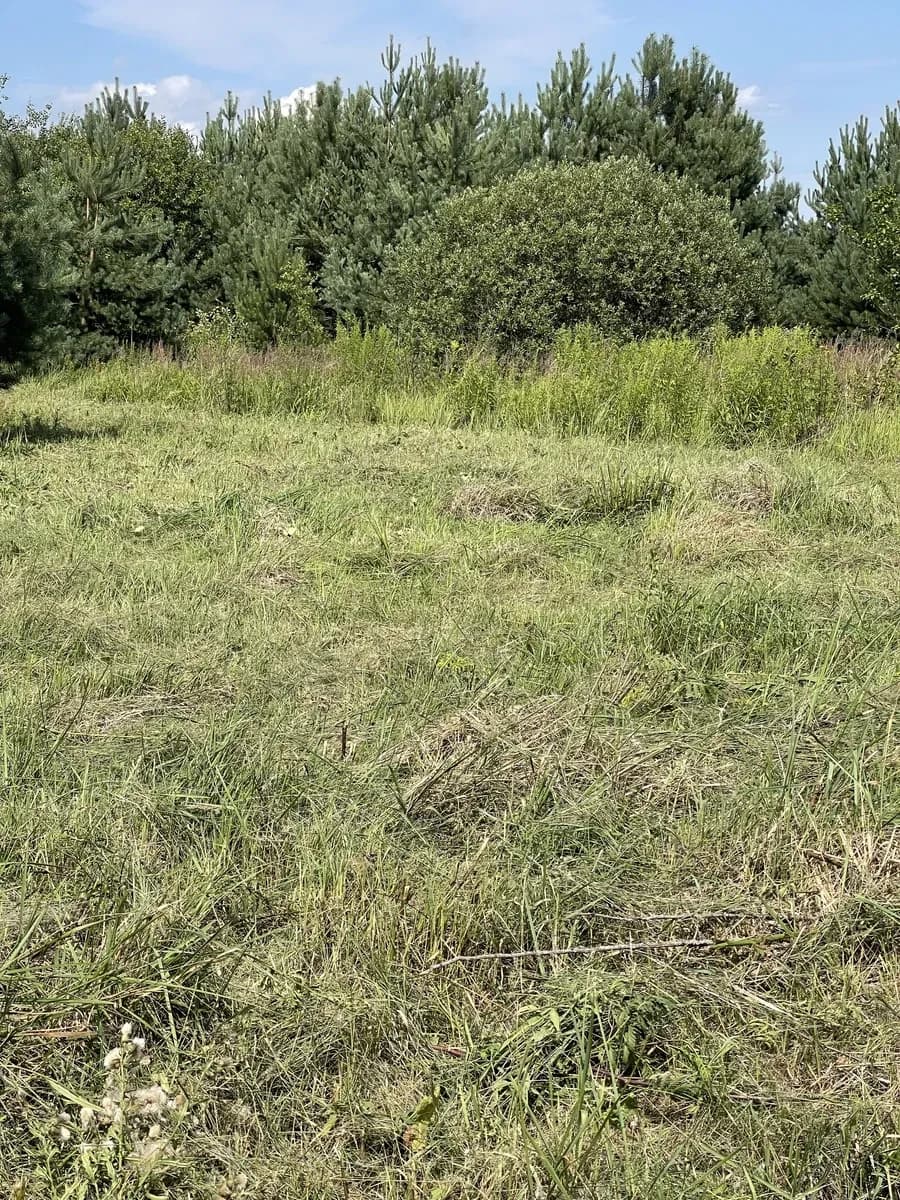 Ділянка 8 соток, Підрясне: два заїзди, ліс поруч, чорнозем - фото 2