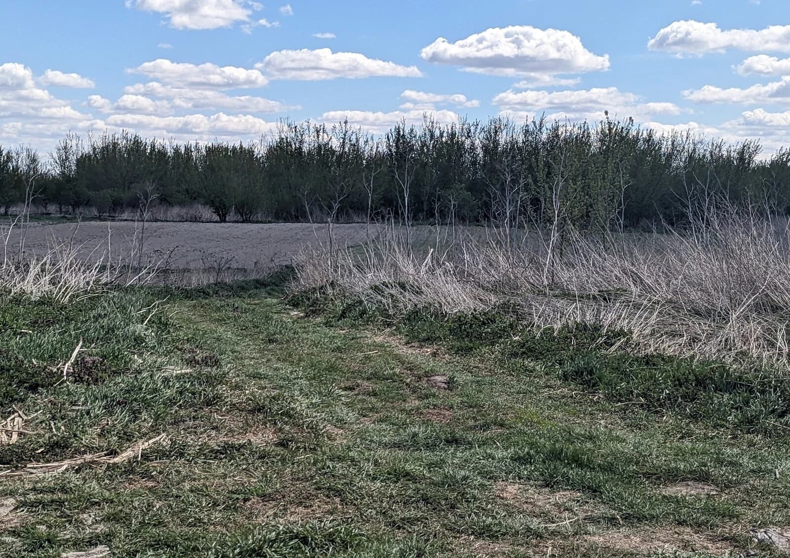 Ділянка 10 соток, Городок: природне озеро, під житлову забудову - фото 4