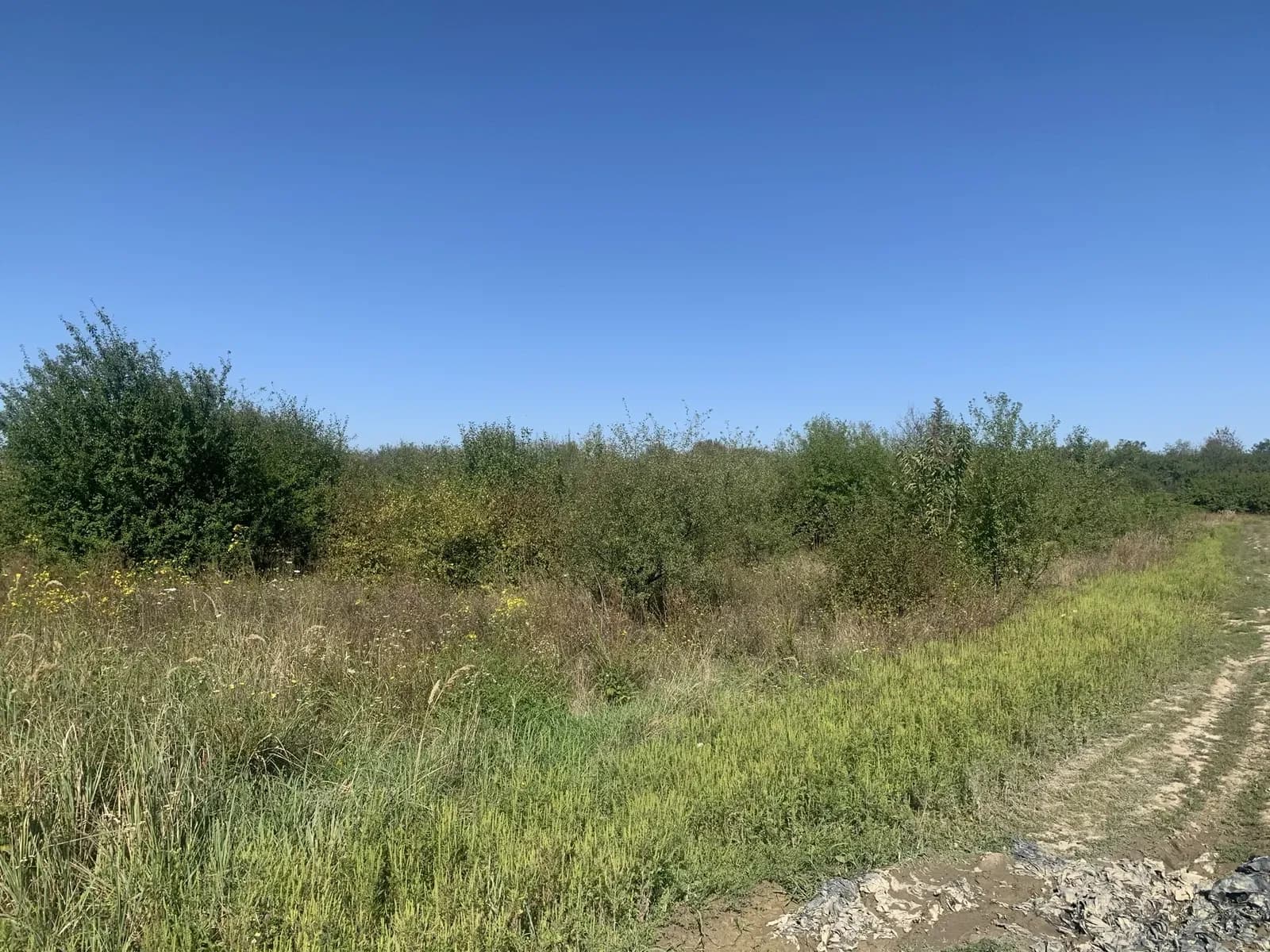 Ділянка 0.08 соток, Виноградів: житлова й суспільна забудова - фото 2
