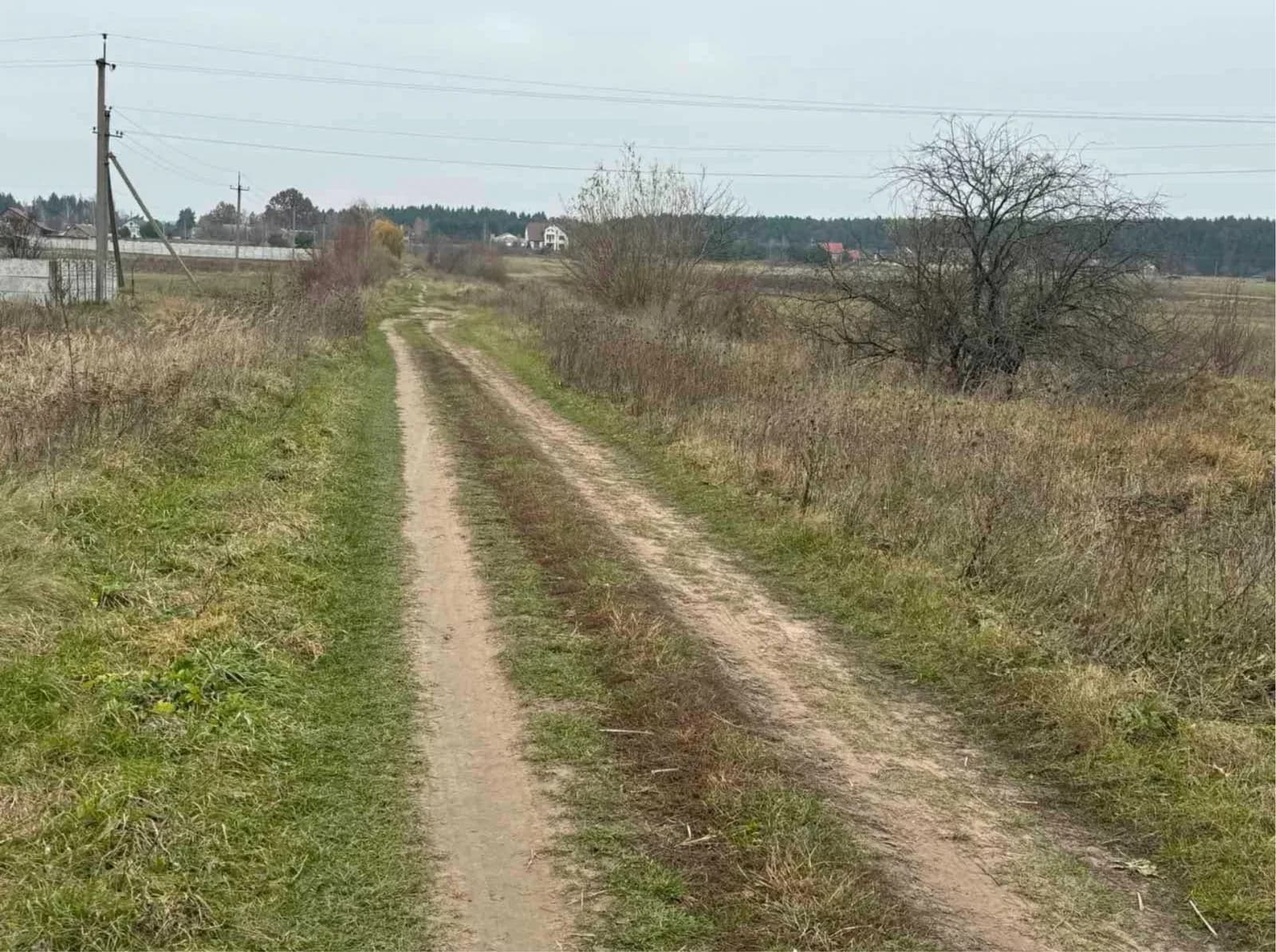 Ділянка 12 соток, Забороль: будівництво, без комунікацій - фото 1
