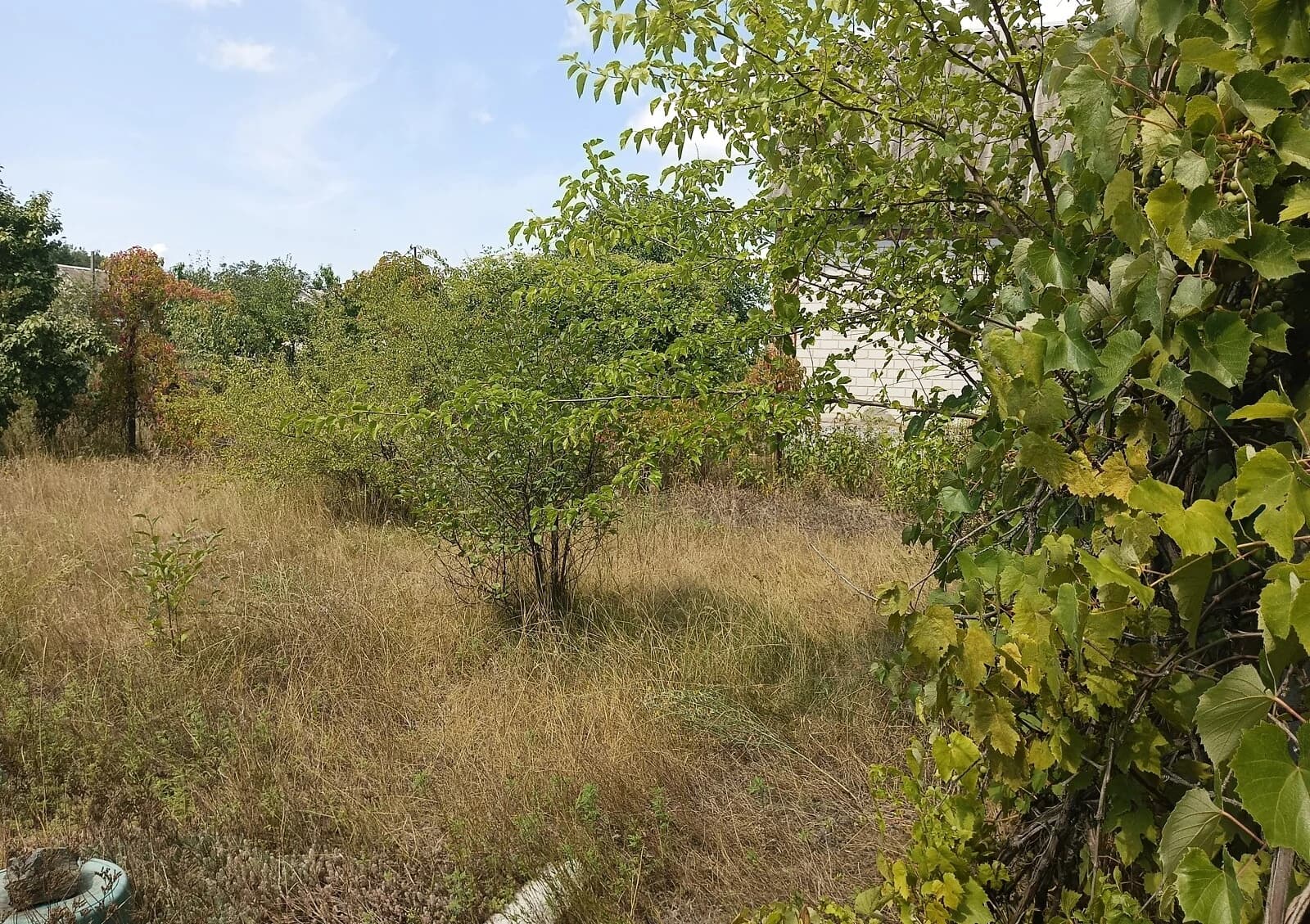Будинок, Черкаський: бесідка, гараж із підвалом, 6 соток - фото 4