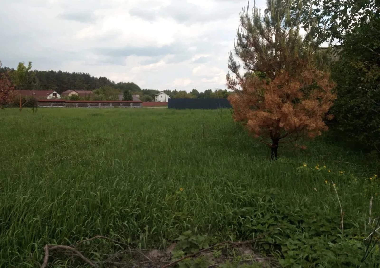 Ділянка 15 соток, Кривецьке: під житлову забудову, під гараж - фото 1