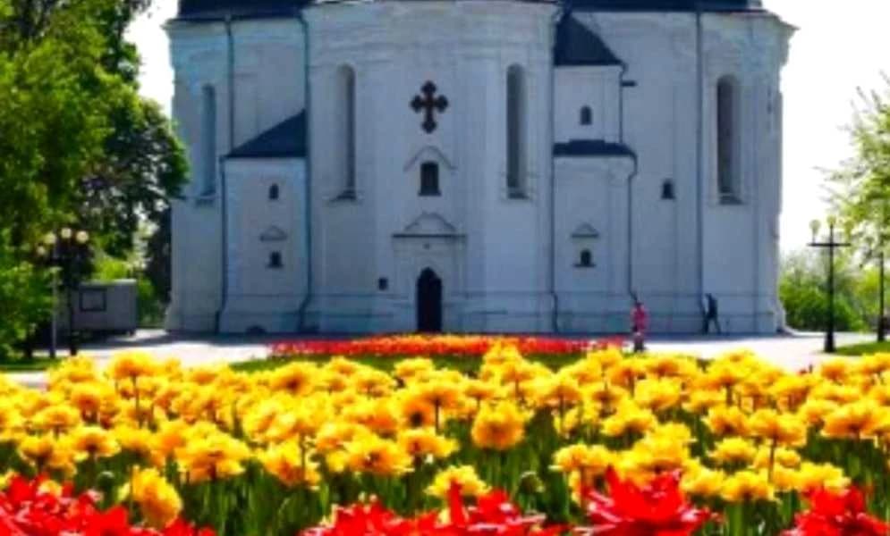 2-кімнатна квартира, Новозаводський: без ремонту, Красна площа - фото 4