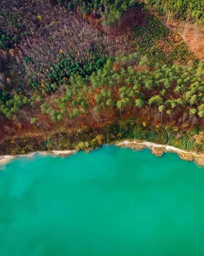 Ділянка 77 соток, Ясниська: водойма за 250 м, біля лісу - фото 1