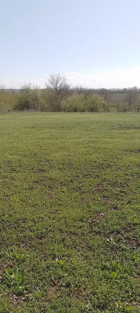 Ділянка 15 соток, Бобриця: до Дніпра 100 м, до Канева 5 км - фото 2