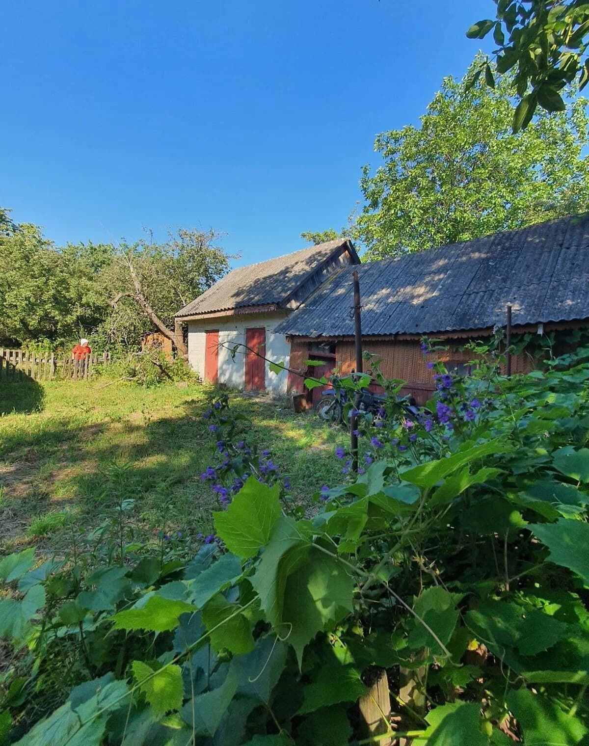 Ділянка 44.98 сотки, Лука-Мелешківська: сад і будинок, електрика - фото 2